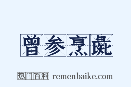曾参烹彘是什么意思的图片
